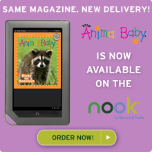 Our award-winning children's magazines are now available on the Nook!